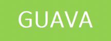 Cursos de Guava em Portugal