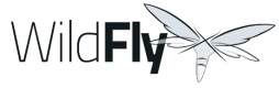 Cursos de Wildfly em Portugal